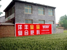 通许如何让墙体广告展现最大化效果