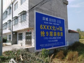 通许墙体广告质量分析