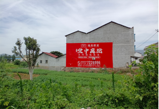 通许做墙体广告的意义